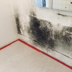 z-schimmelpilzbefall-schimmelsanierung-3