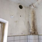 z-schimmelpilzbefall-schimmelsanierung-4