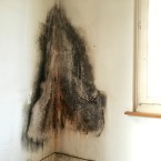 z-schimmelpilzbefall-schimmelsanierung-5