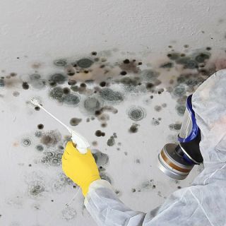 Wasserschaden und Schimmel entfernen